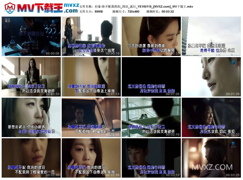 付豪-你不配我的泪_国语_流行_YE100115